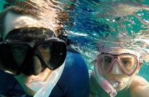 3-hour cruise and snorkeling experience in Key West