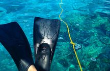 3-hour cruise and snorkeling experience in Key West