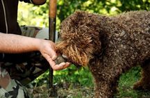 Truffle Hunting and Culinary Celebration Tour from Heraklion