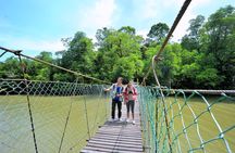 Private Taman Negara day trip from Kuala Lumpur with lunch