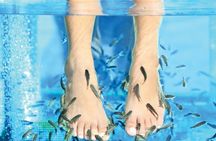 Turkish bath with aloe vera and oil massage
