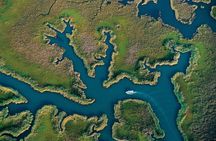 Dalyan, rock tombs, mud bath, boat trip and lunch guided tour from Bodrum