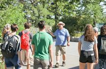 Niagara Falls one-hour adventure tour