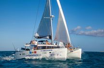 Catamaran cruise to Lobos Island with guided tour and paella