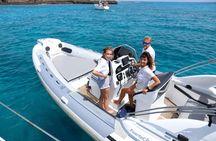 Catamaran cruise to Lobos Island with guided tour and paella