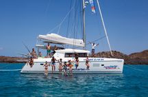 Catamaran cruise to Lobos Island with guided tour and paella