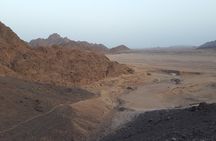 Stargazing with a sand buggy, camel ride, dinner and show in Sharm El Sheikh