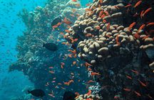 Half-day afternoon boat trip with lunch and drinks in Hurghada