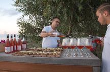 Wine tasting at Tenuta Castellaro on Lipari island