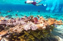 Pearl Island beach escape tour with lunch and snorkeling