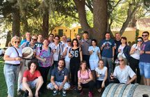 Redwoods and Wine Country combo tour with wine tasting