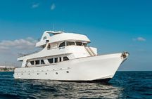 Blue lagoon Sea Star cruise from Paphos