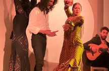 Traditional flamenco show in Madrid