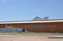 Hurghada Tour by Night with the Grand Aquarium and Dinner