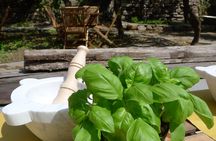 Pesto cooking class in Manarola