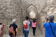 Bahrain half-day private tour