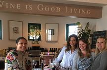 Walking tour of Santa Barbara with wine and chocolate tastings