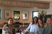 Walking tour of Santa Barbara with wine and chocolate tastings