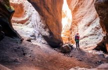 Half-day guided canyoning adventure in Tenerife