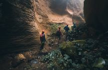 Half-day guided canyoning adventure in Tenerife
