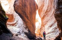 Half-day guided canyoning adventure in Tenerife