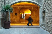 Picasso Museum guided tour