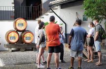 Funchal wine and food walking tour
