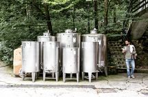 Organic wine tasting and farm tour in Valtenesi area