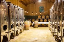 Organic wine tasting and farm tour in Valtenesi area