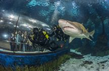 Barcelona city tour hop-on hop-off bus tickets with Aquarium
