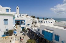 Carthage, Sidi Bou Said and Medina guided tour from Mahdia