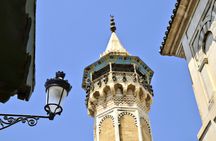 Carthage, Sidi Bou Said and Medina guided tour from Mahdia