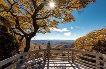Great Smoky, Cades Cove and Blue Ridge Parkway self guided bundle tour