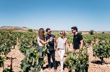 Tour of the best Ribera del Duero's wineries