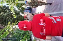 Athens half-day guided tour on a Segway™ vehicle