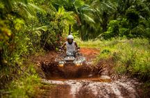 Mauritius quad or buggy tour at Bel Ombre Nature Reserve