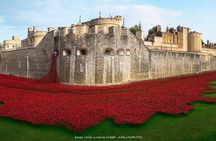 Tower of London and the heart of Westminster private half-day tour
