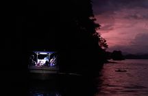Bioluminescence boat tour from Jacó