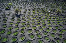 Discover Lanzarote from Fuerteventura