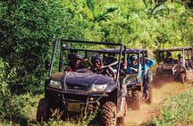 Mauritius quad or buggy tour at Bel Ombre Nature Reserve