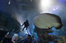 Aquaria KLCC Kuala Lumpur entrance ticket