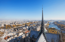 The Paris Flyover in virtual reality