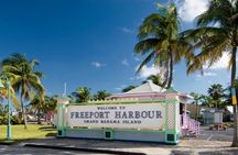 Grand Bahama tour with optional Pig Beach visit