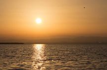 Guided tour of the Albufera with boat trip