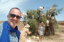 Essaouira private full-day guided tour from Marrakech