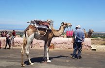 Essaouira private full-day guided tour from Marrakech
