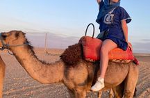 Agafay desert private sunset camel ride from Marrakech