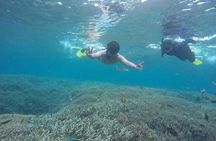 Blue Paradise Nusa Penida tour from Bali