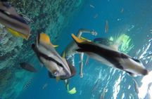 Blue Paradise Nusa Penida tour from Bali
