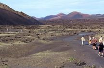 Timanfaya Twizy Electric Car Tour Ticket